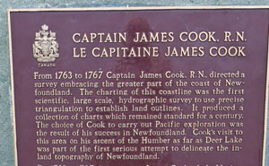 Cook
                Sign