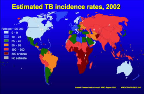 tuberculosis map diagram