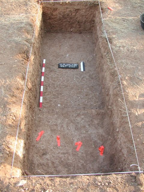 Excavations at Alt del Punxó (2001)