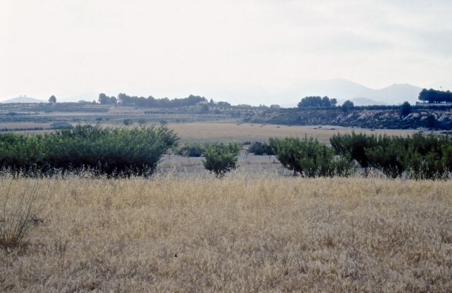 Albufera de Gaianes (2000)