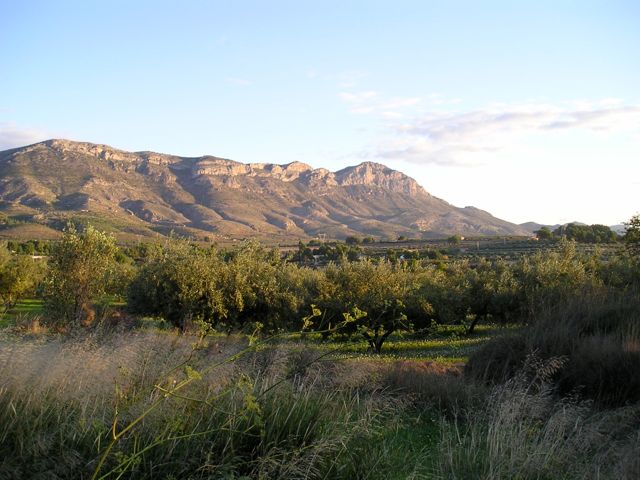 Sierra Benicadell near Alt del Punxó (2003)