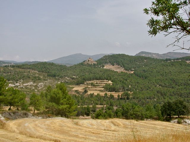 Polop Alto valley (2003)