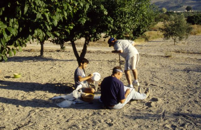 Coring at Albufera de Gaianes (2000)