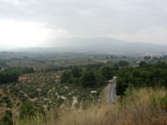 Serpis valley (2001)