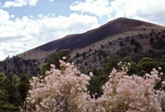 Sunset crater on the Colorado Plateau
