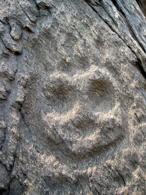 A different kind of petroglyph (2009)