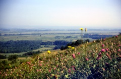 View over the Sava and Pannonian Plain