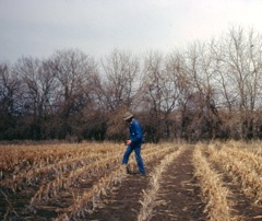 Survey in Kansas fields