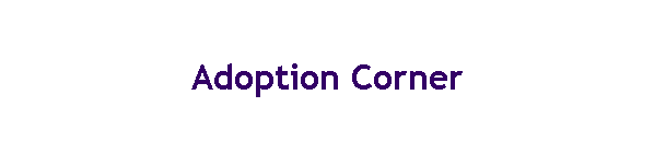 Adoption Corner