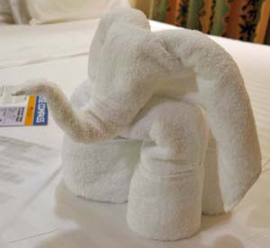 Towel Art 3
