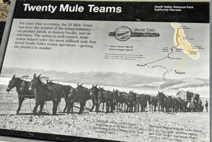 20 Mule Sign