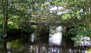 Dove Bridge