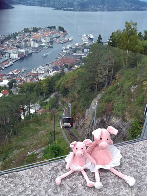 Piggies at Bergen