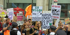 Animal Rights 1