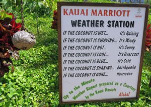 Coconut Station