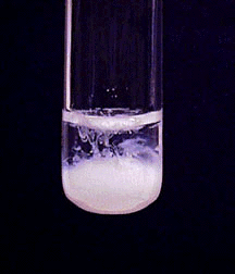 calcium carbonate precipitation
