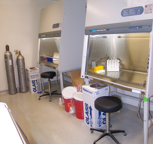 cell culture hood