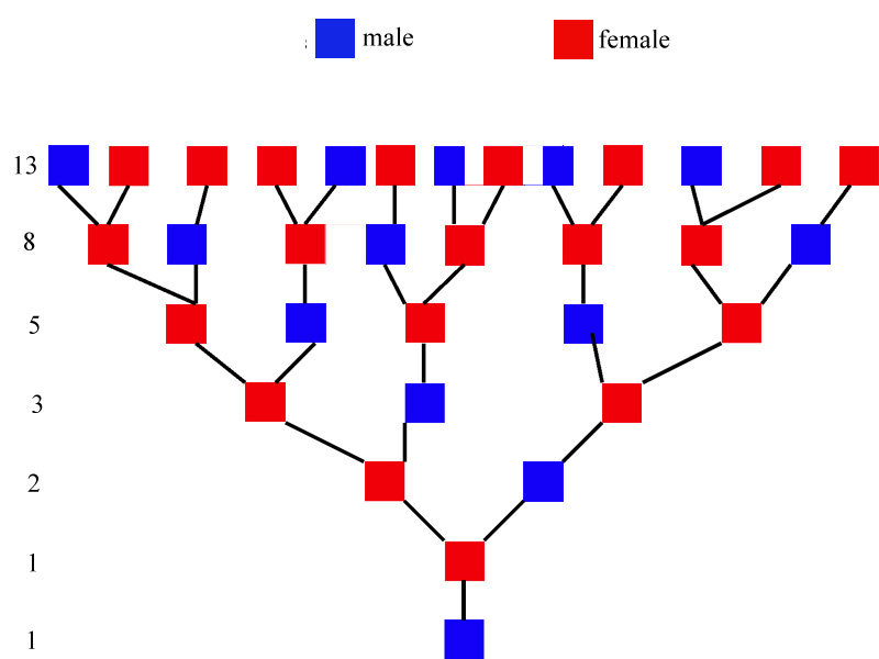 Complete Advisor Ancestry Tree