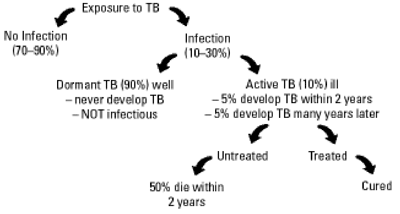 tuberculosis diagram 2