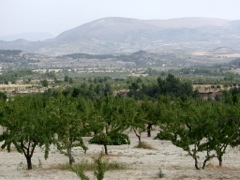 Serpis valley (2001)