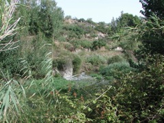 R. Serpis near Encantada (2001)