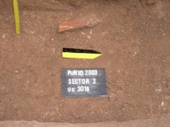 Alt del Punxó - bovid metapodial at bottom of large foso (2003)