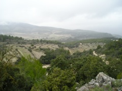View from La Sarga pictograph site