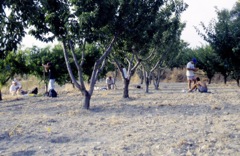 Coring at Albufera de Gaianes (2000)