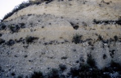 Terrace sediments of R. Serpis
