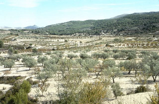 Alcalá valley