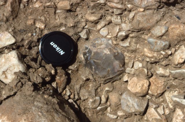 Pleistocene core in Gallinera valley