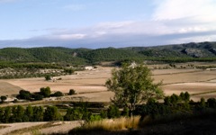 Polop Alto valley