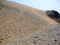 A path to…? Near Bayan Nur (2009)