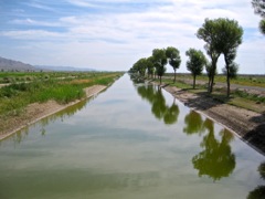 Canal from the Huang He (Yellow River) transforms the landscape near Bayan Nur (2009)