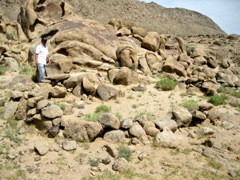 Mandala Mt. rock art park, near Alxa Youqi (2009)