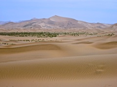 The world's highest dunes. Badain Jaran Desert (2009)