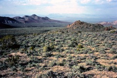 Great Basin high desert far above the valley floor