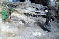 Gorham's Cave deposits