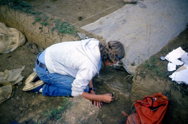 Me excavating bison mandibles