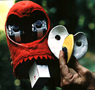 the video camera  "eyes" of the bird