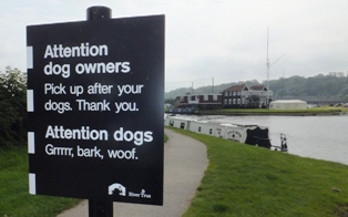 Dog
                                  Sign