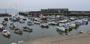 Lyme Harbour