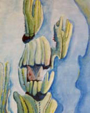 Cactus Closeup