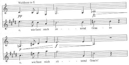Schubert, Auf dem Strom, mm. 129-135--solo Waldhorn in E and voice in octaves
