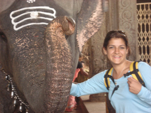 elephant.madurai