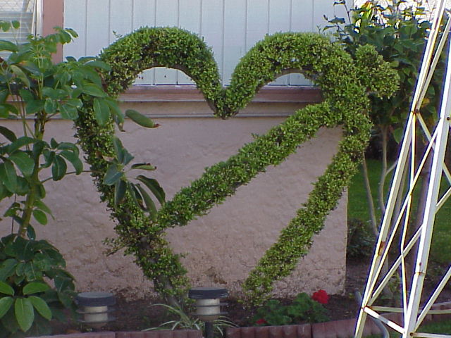 heart_topiary