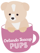 picture of Orlando Teacup Pup logo
